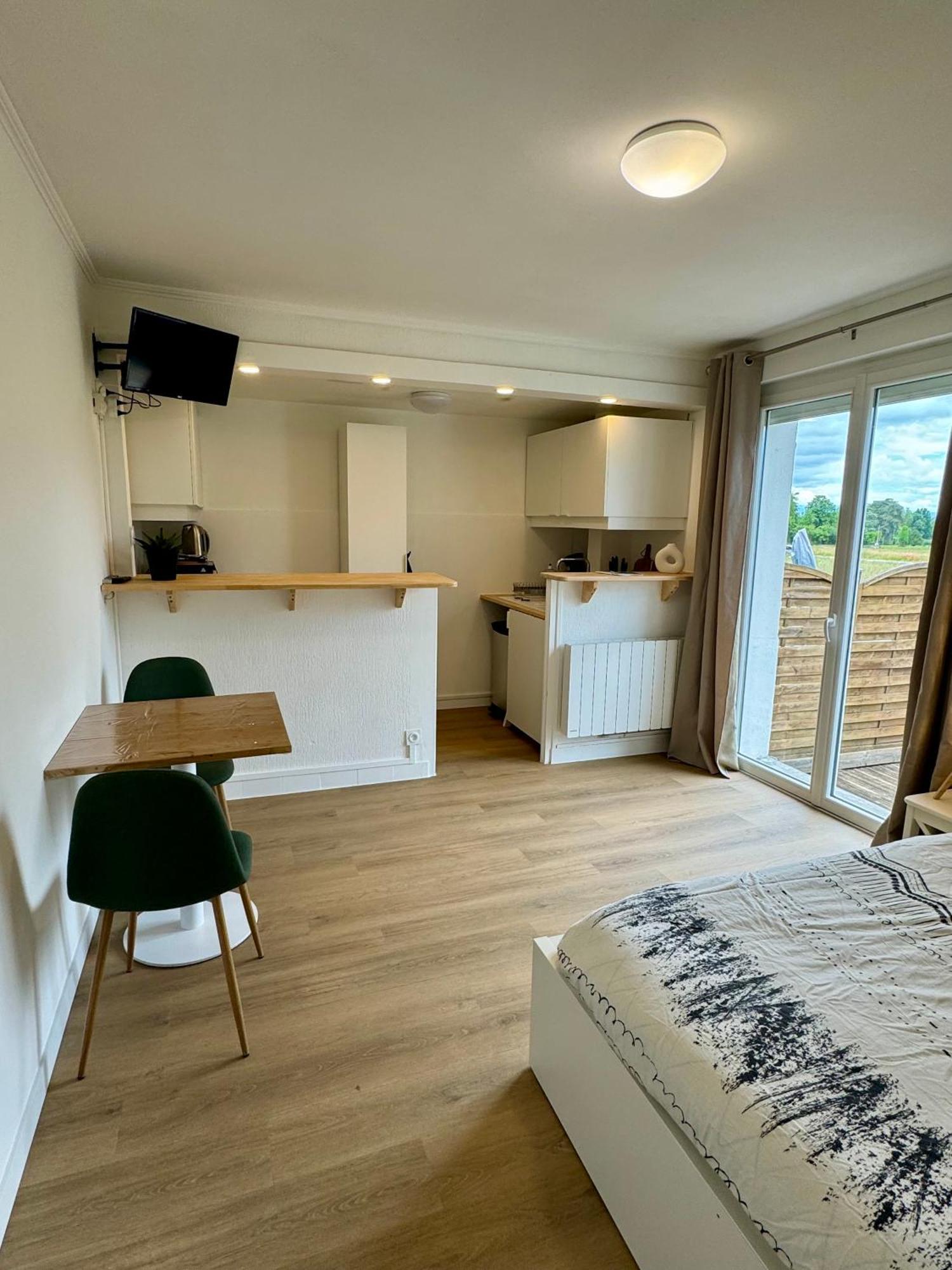 Studio Avec Jardin Proche Lac Saint-Jorioz Exteriér fotografie